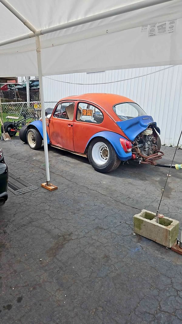 1965 Volkswagen Beetle - 1.8T S Hatchback 2D