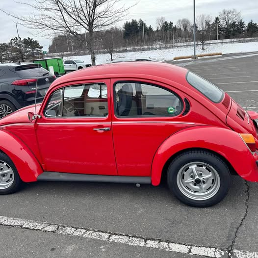 1975 Volkswagen Beetle - Hatchback 2D