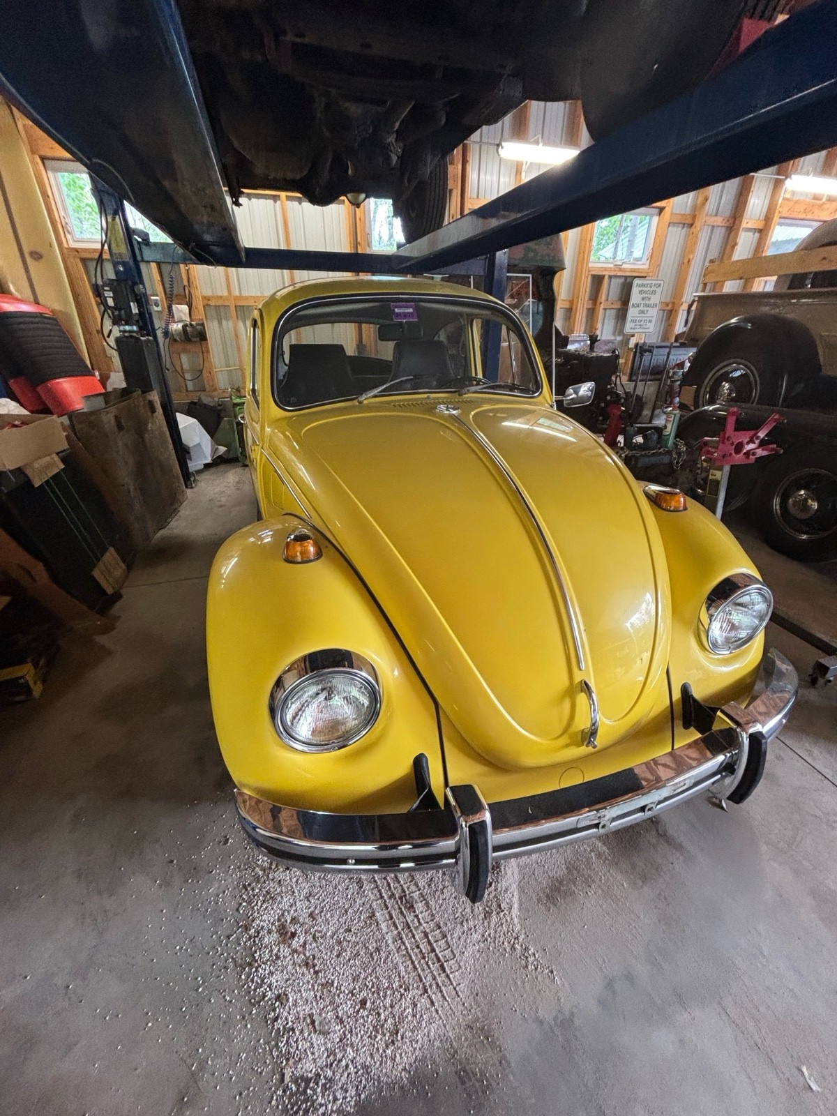 1969 Volkswagen Beetle (Pre-1980) standard