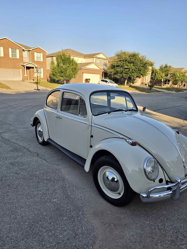 1965 Volkswagen Beetle - Hatchback 2D