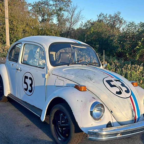 1976 Volkswagen Beetle - 1.8T Classic Hatchback 2D