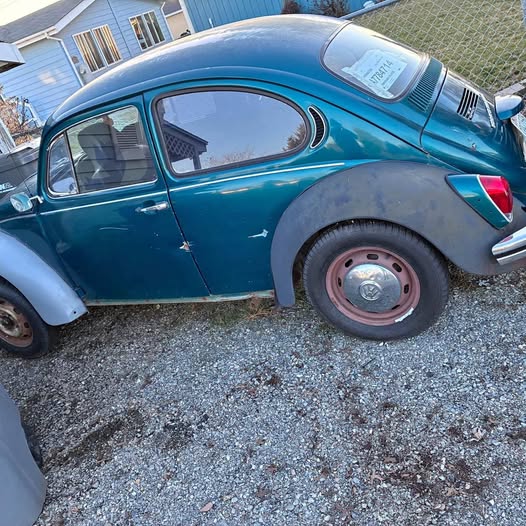 1971 Volkswagen Beetle