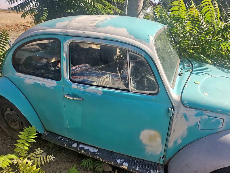 1971 Volkswagen Beetle - 1.8T Classic Convertible 2D