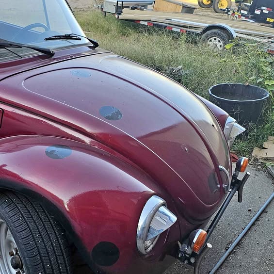 1973 Volkswagen Beetle - Hatchback 2D