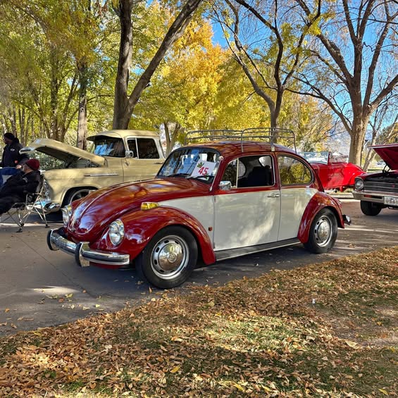 1971 Volkswagen Beetle