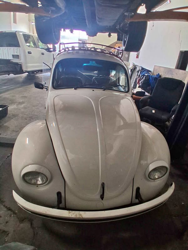 1968 Volkswagen Beetle - Hatchback 2D