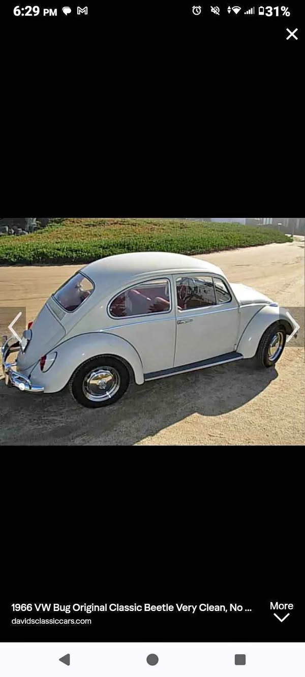 1966 Volkswagen Beetle - Hatchback 2D