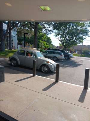 1970 Volkswagen Beetle - Hatchback 2D