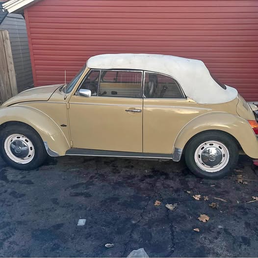 1976 Volkswagen Beetle - 1.8T Classic Convertible 2D