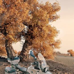 2012 BMW f650gs