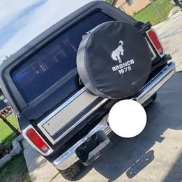 1979 Ford Bronco Sport