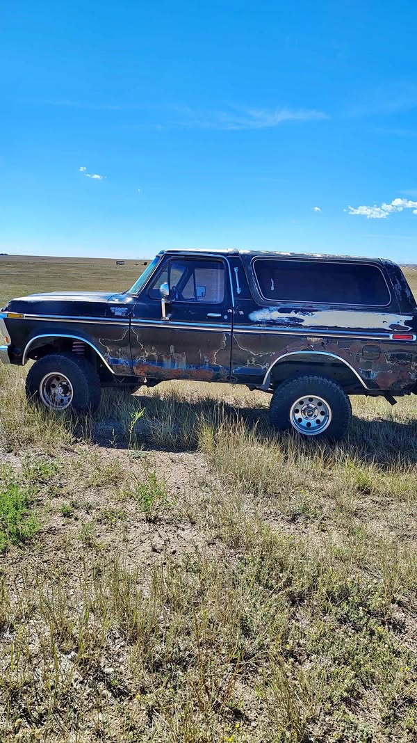 1979 Ford Bronco - Sport Utility 2D