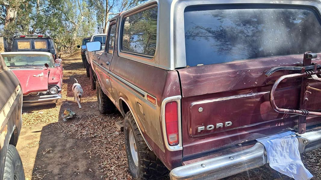1979 Ford Bronco - Sport Utility 2D