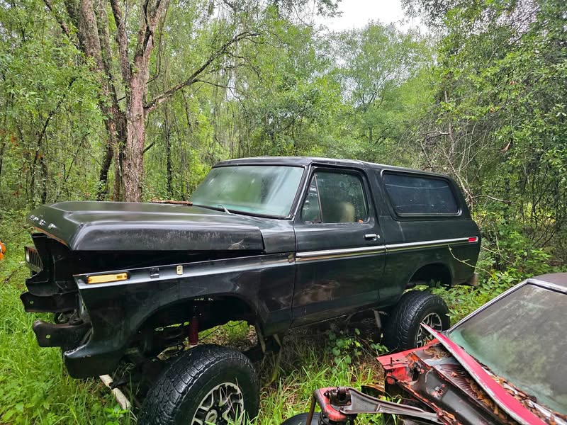 1979 Ford Bronco