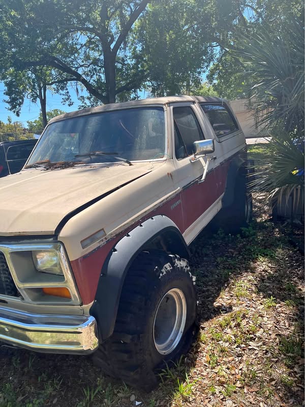 1985 Ford Bronco