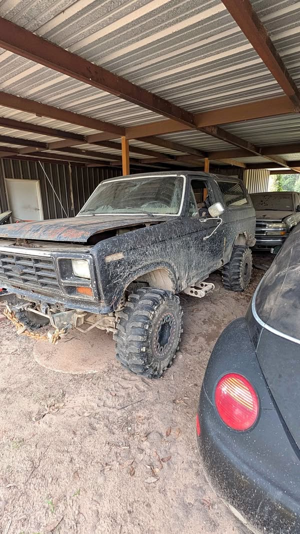 1984 Ford Bronco - Sport Utility 2D