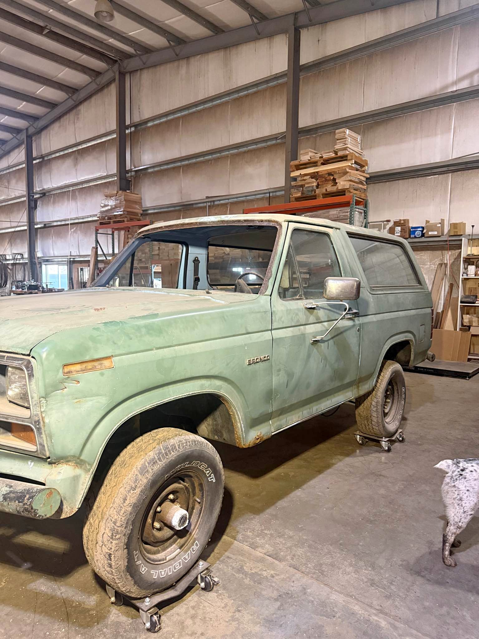 1984 Ford Bronco