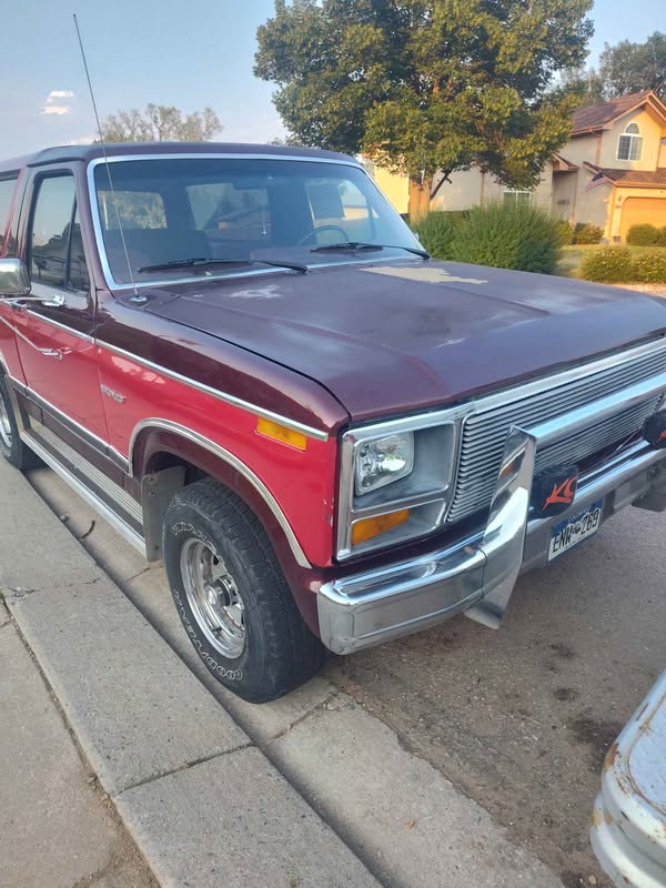 1983 Ford Bronco - XLT