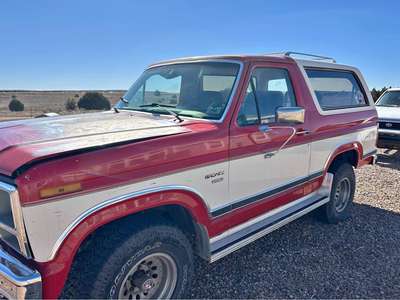 1986 Ford Bronco - XLT