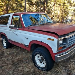 1984 Ford bronco xlt