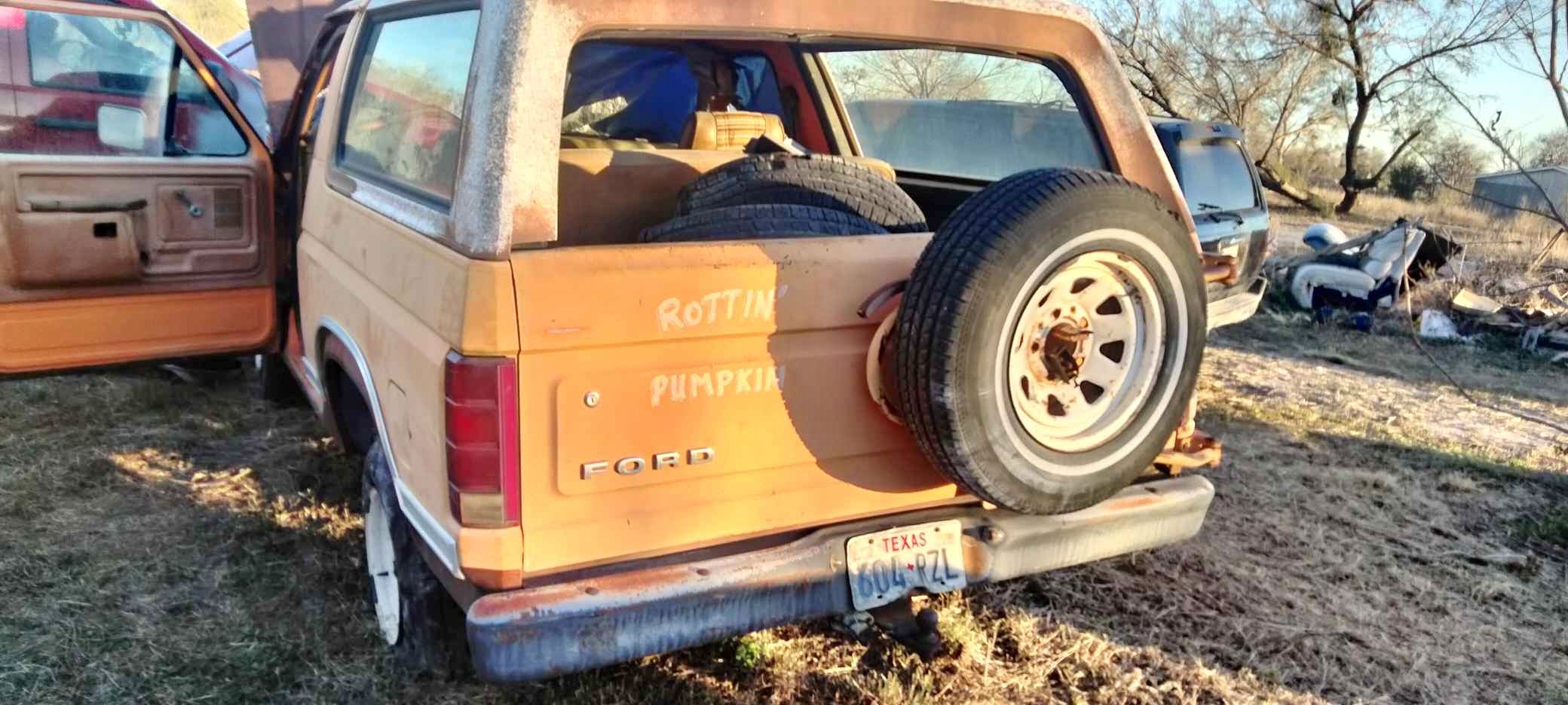 1980 Ford Bronco - Sport Utility 2D