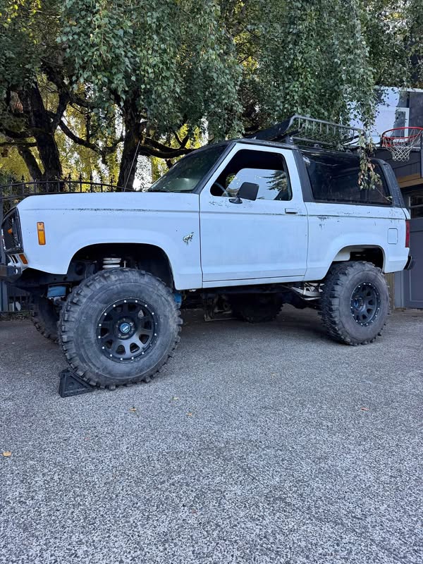 1986 Ford Bronco - Bronco 2