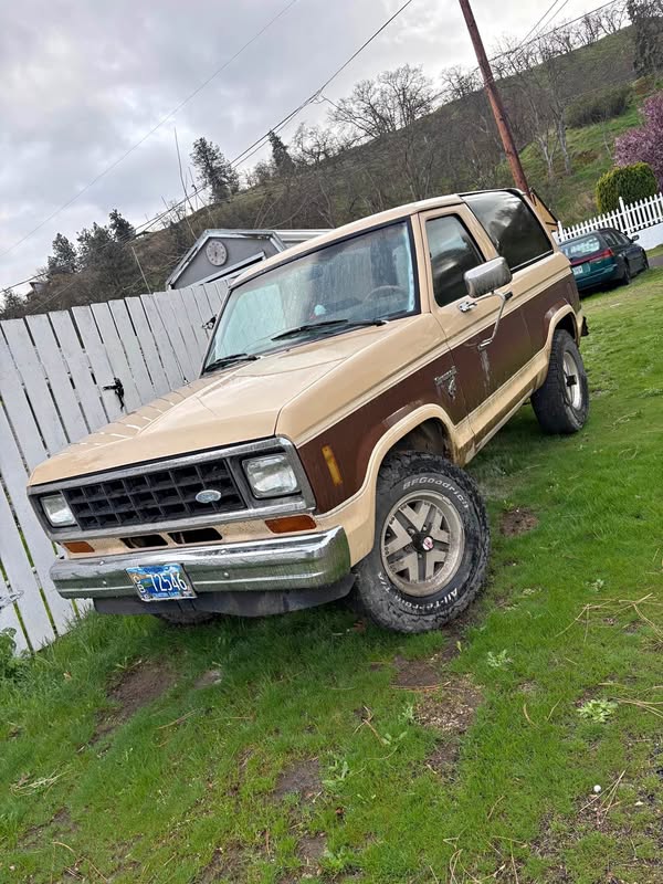 1984 Ford Bronco - Bronco ii