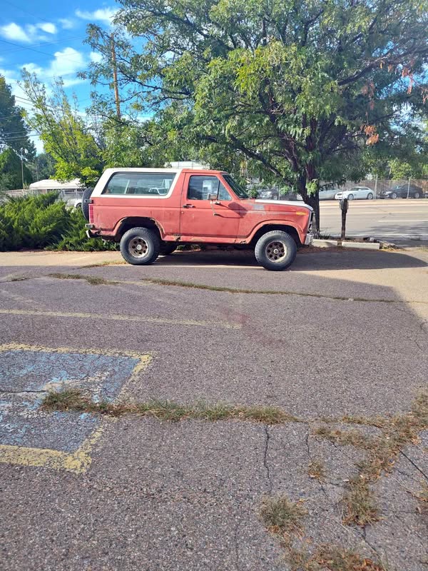 1985 Ford Bronco - Sport Utility 2D