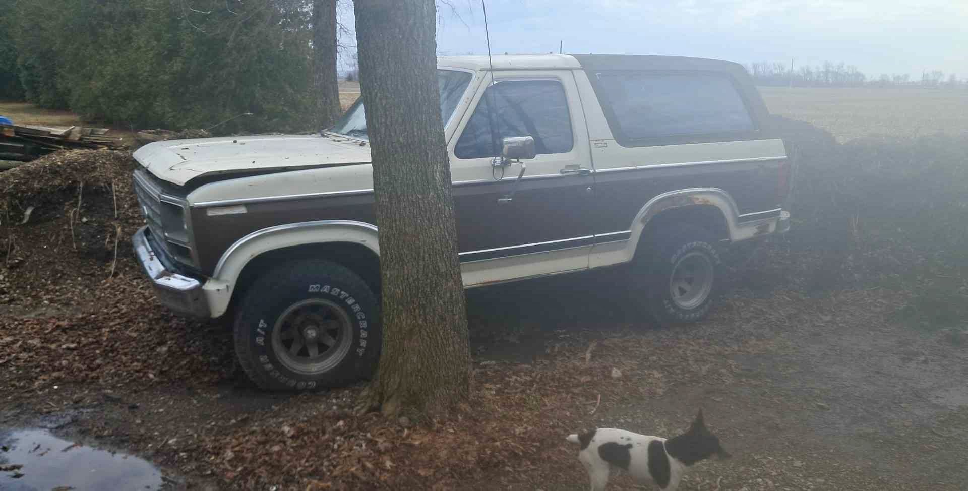 1981 Ford Bronco - Badlands Sport Utility 2D