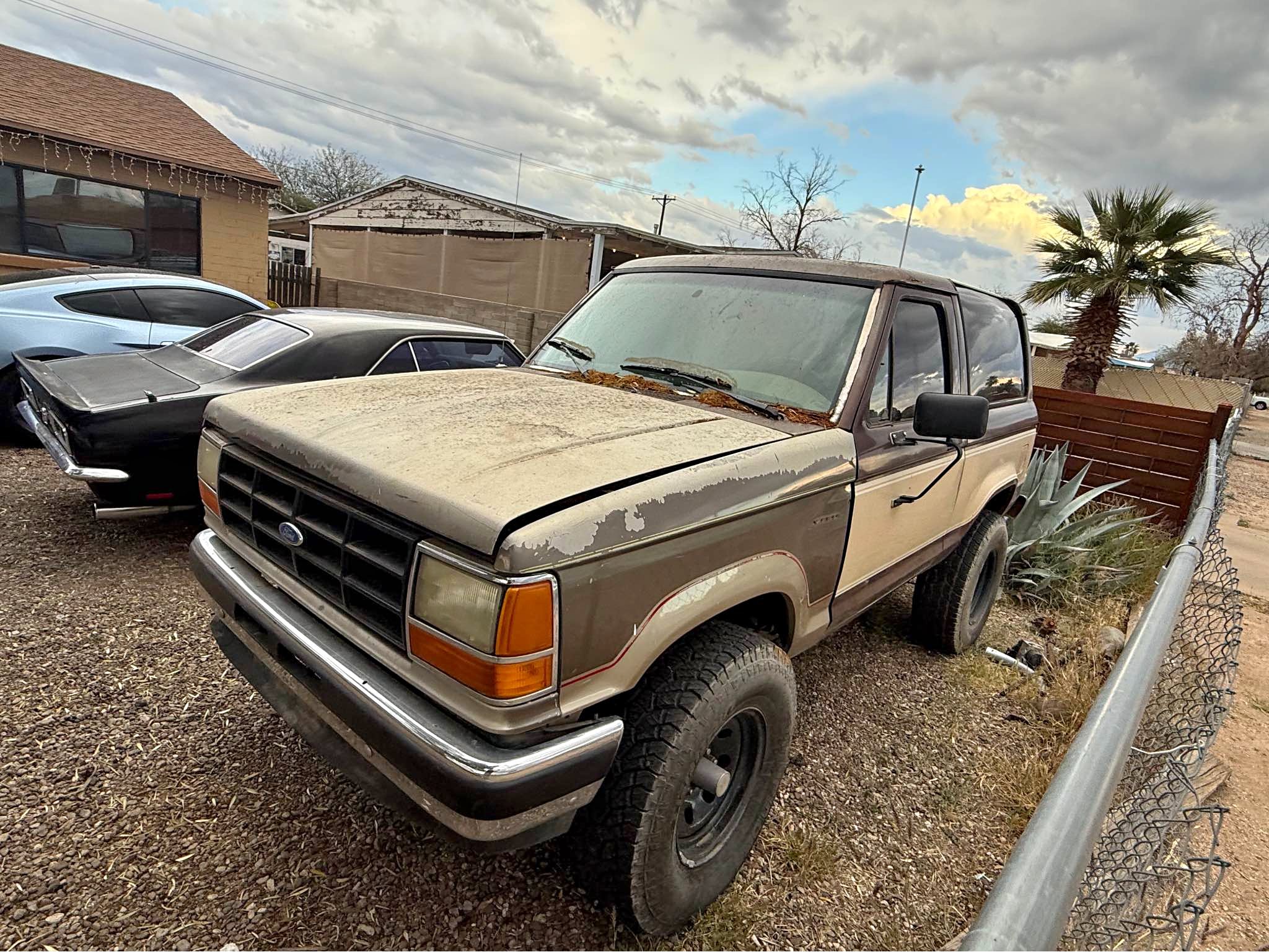 1984 Ford bronco 2