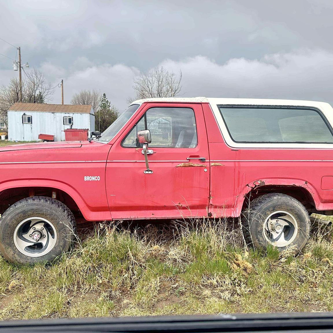 1984 Ford bronco full size