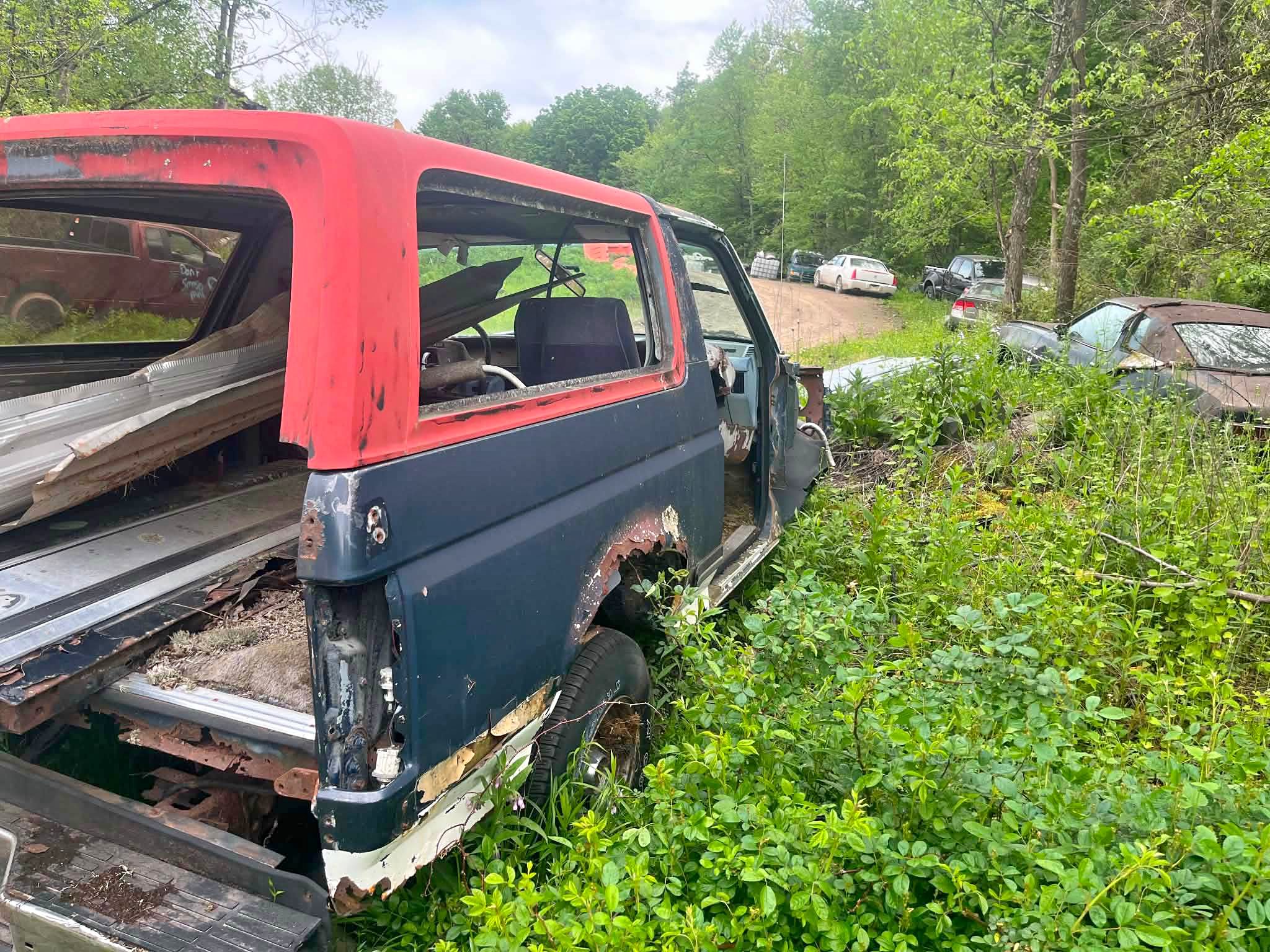 1984 Ford Bronco