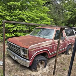1981 ford bronco project