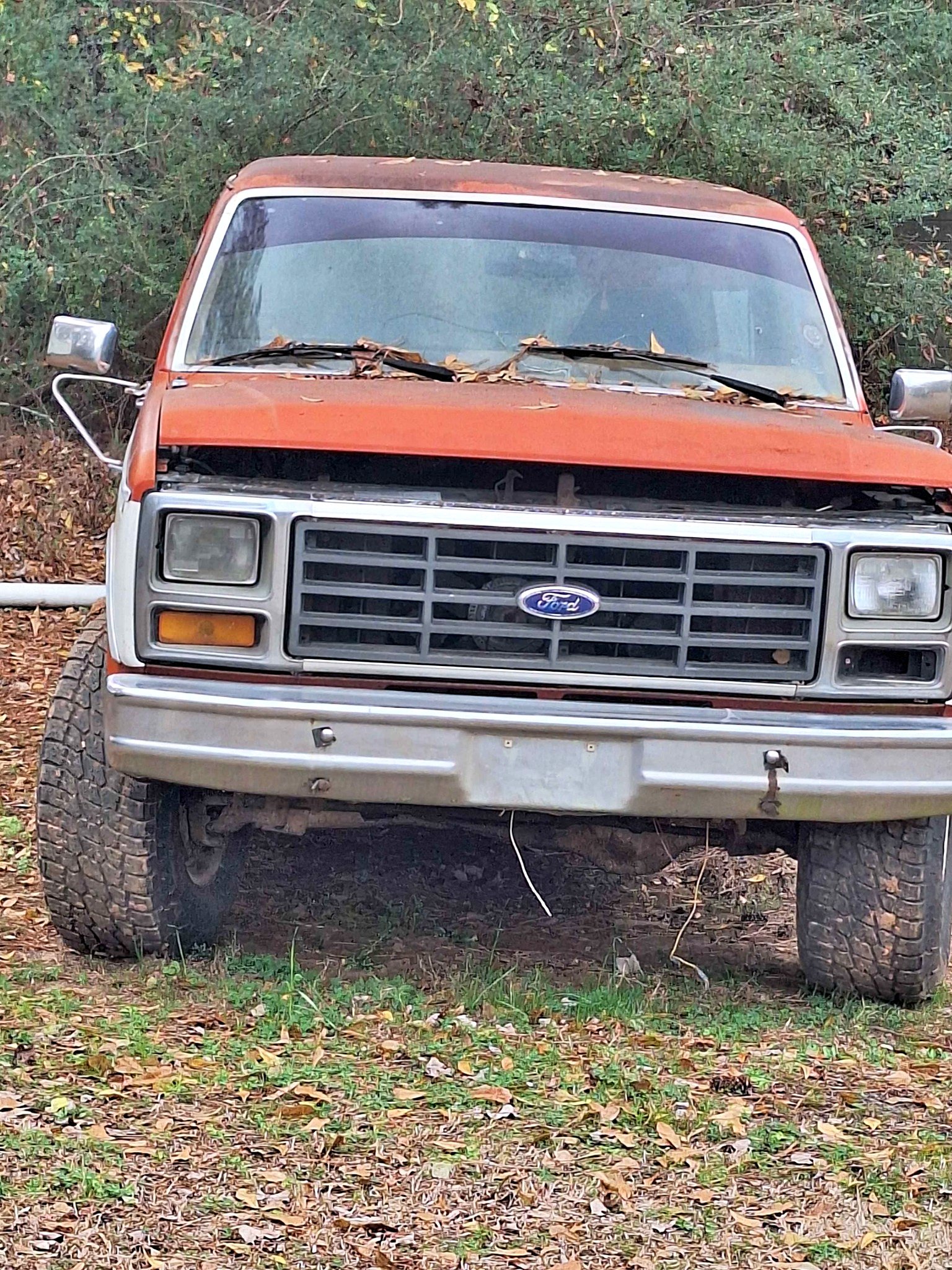 1983 Ford Bronco - Sport Utility 2D