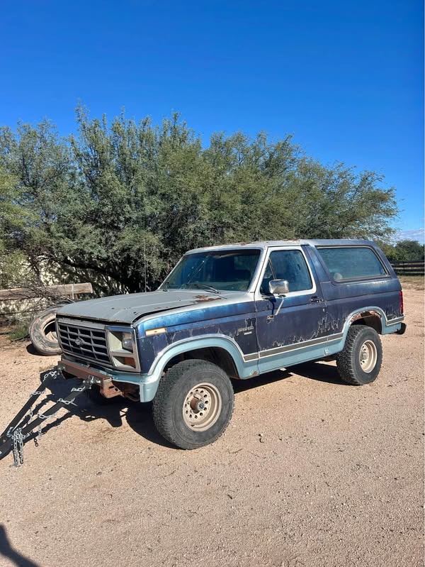 1983 Ford Bronco - Black Diamond Sport Utility 2D