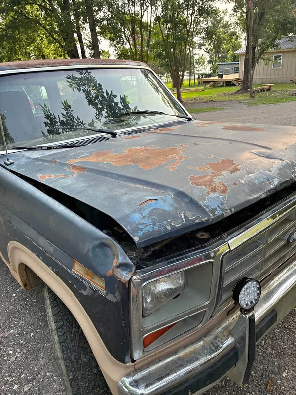 1986 Ford Bronco - First Edition Sport Utility 2D