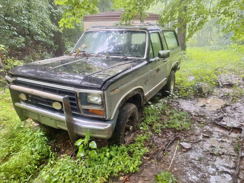 1986 Ford Bronco - Heritage Edition Sport Utility 2D