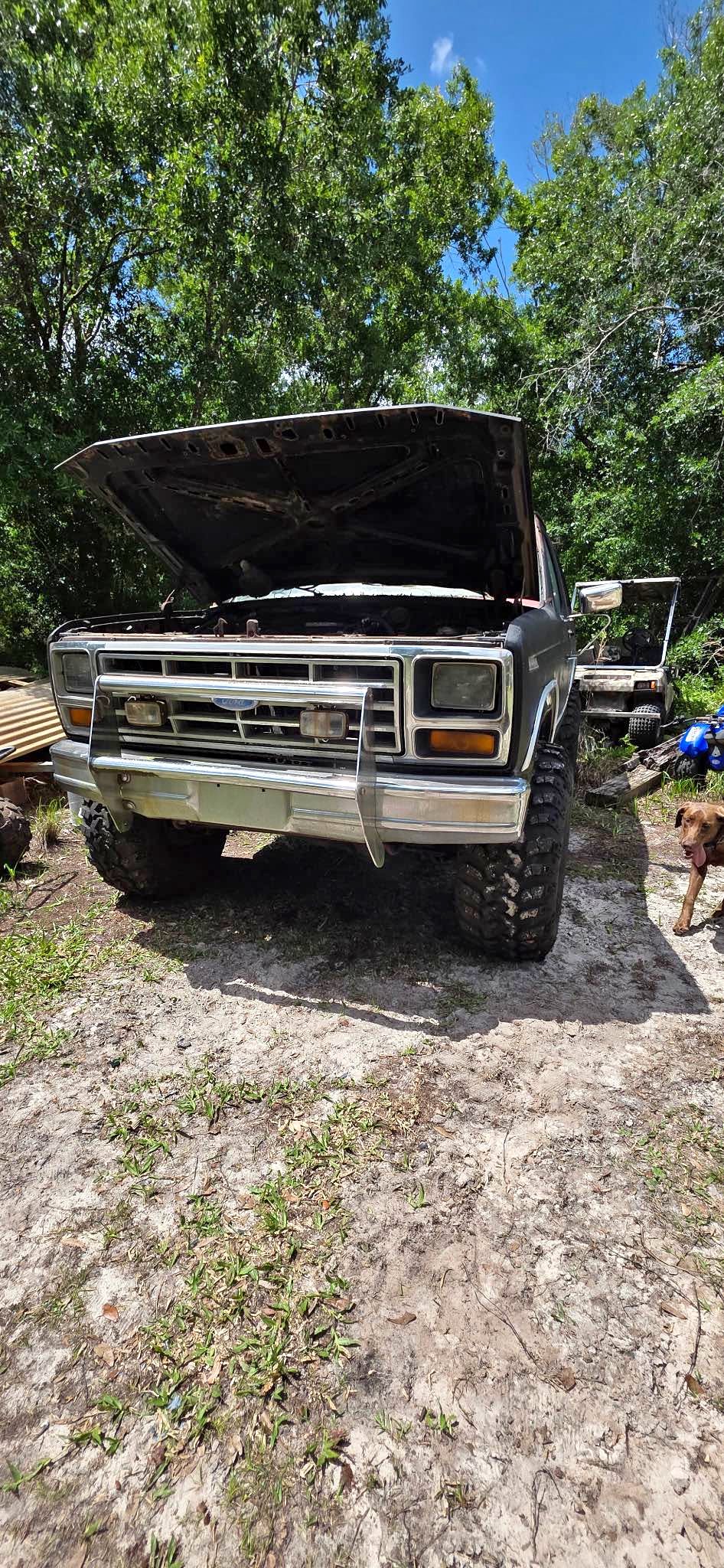1984 Ford Bronco - Sport Utility 2D