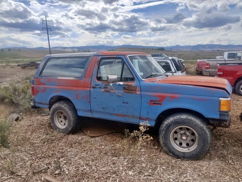 1986 Ford Bronco - Sport Utility 2D