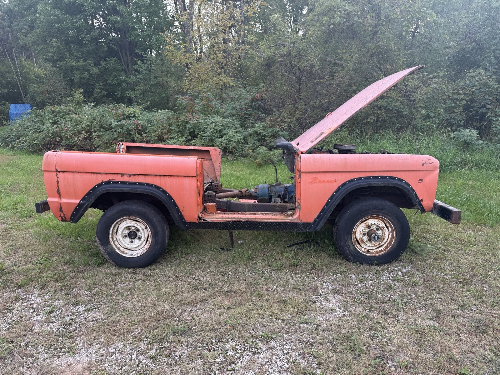 1969 Ford Bronco