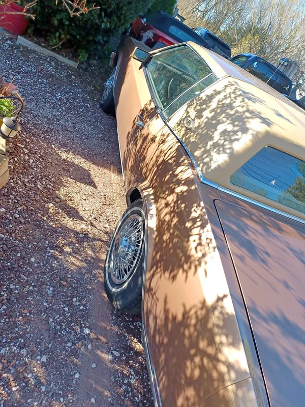 1982 Buick Riviera - Coupe 2D