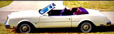 1985 Buick Riviera - Cordovan Leather