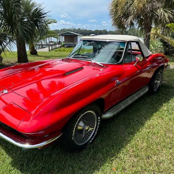 1965 Chevrolet Corvette - Convertible 2D