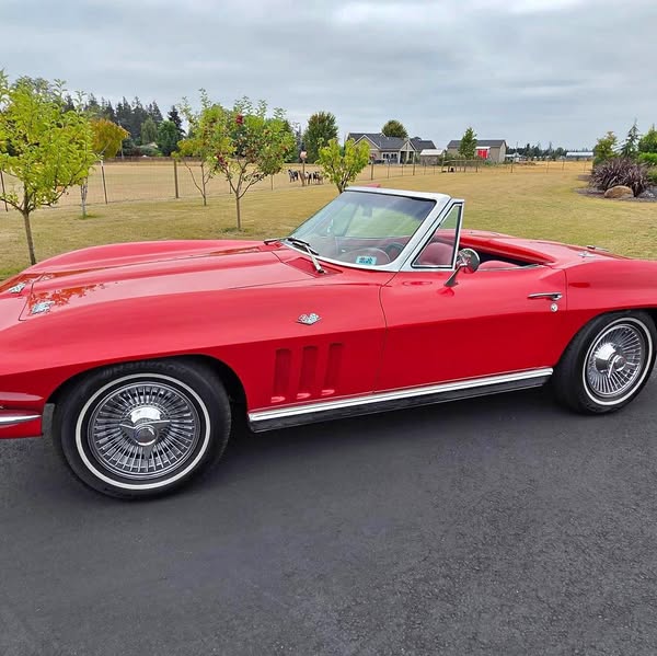 1966 Chevrolet Corvette - Convertible 2D