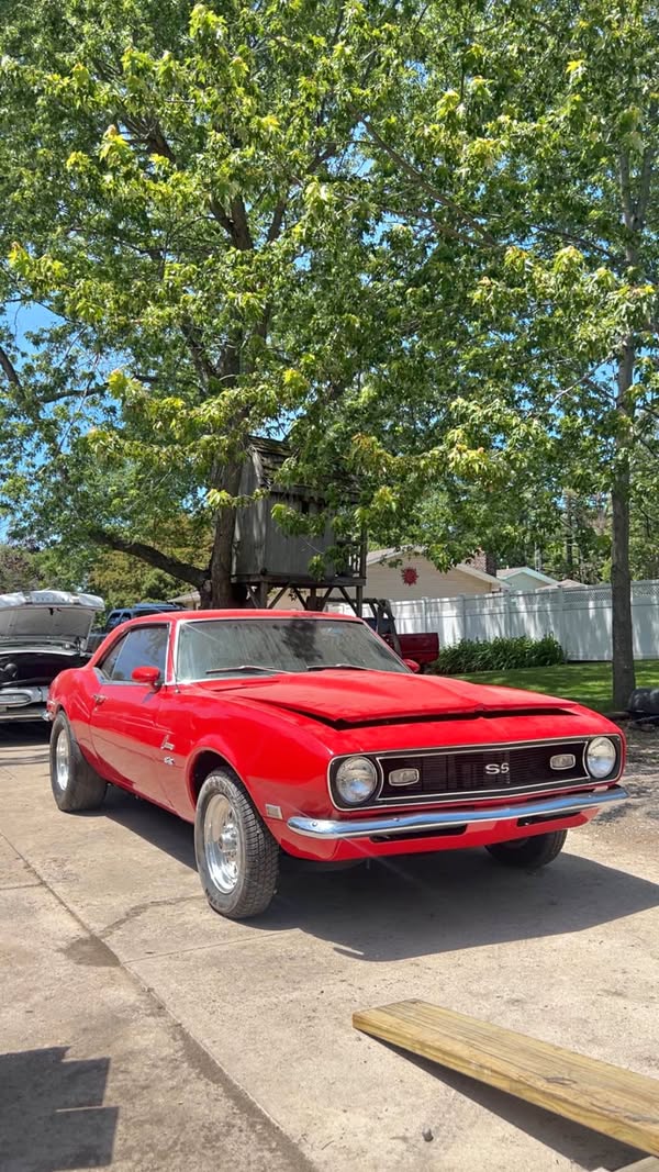 1968 Chevrolet Camaro - Tribute SS