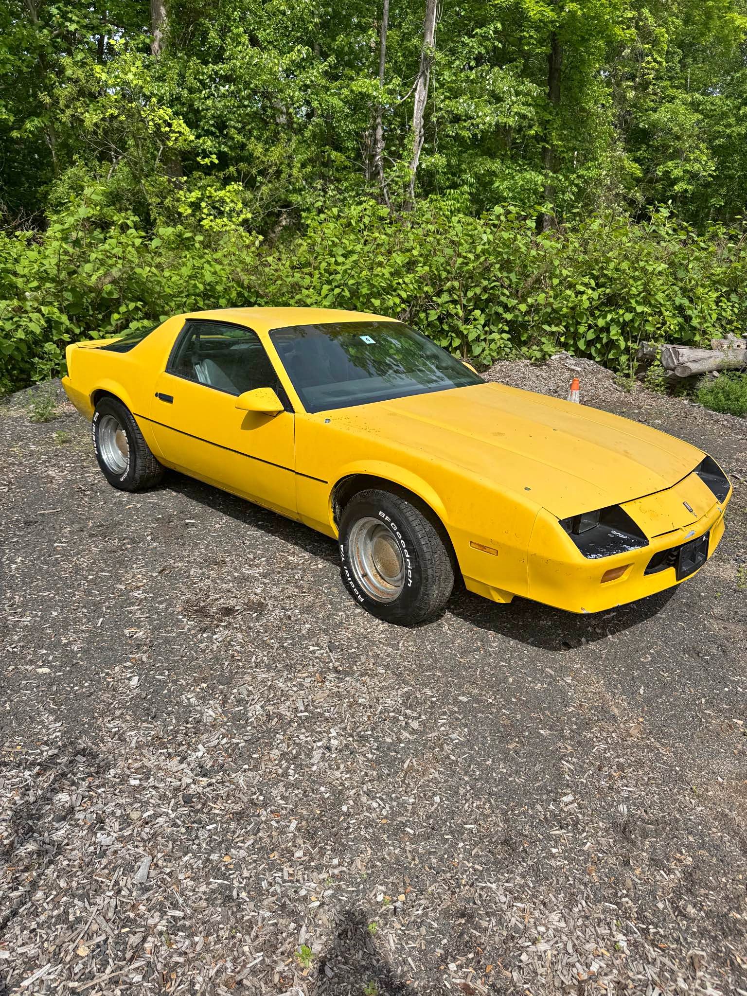 1986 Chevrolet Camaro - Coupe 2D