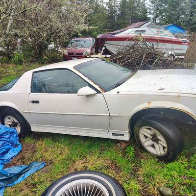 1989 Chevrolet Camaro - Possible trades