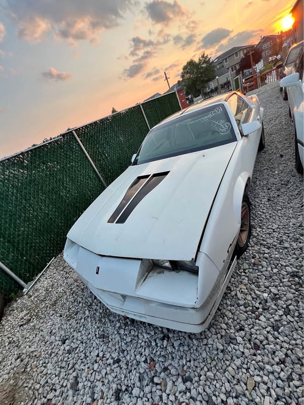 1984 Chevrolet Camaro - Z\/28 Coupe 2D