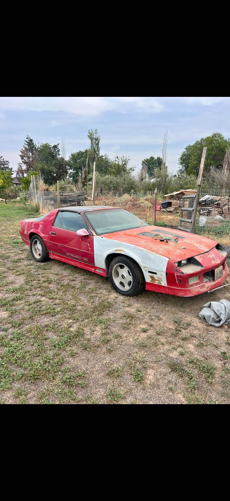 1988 Chevrolet Camaro - Iroc-z