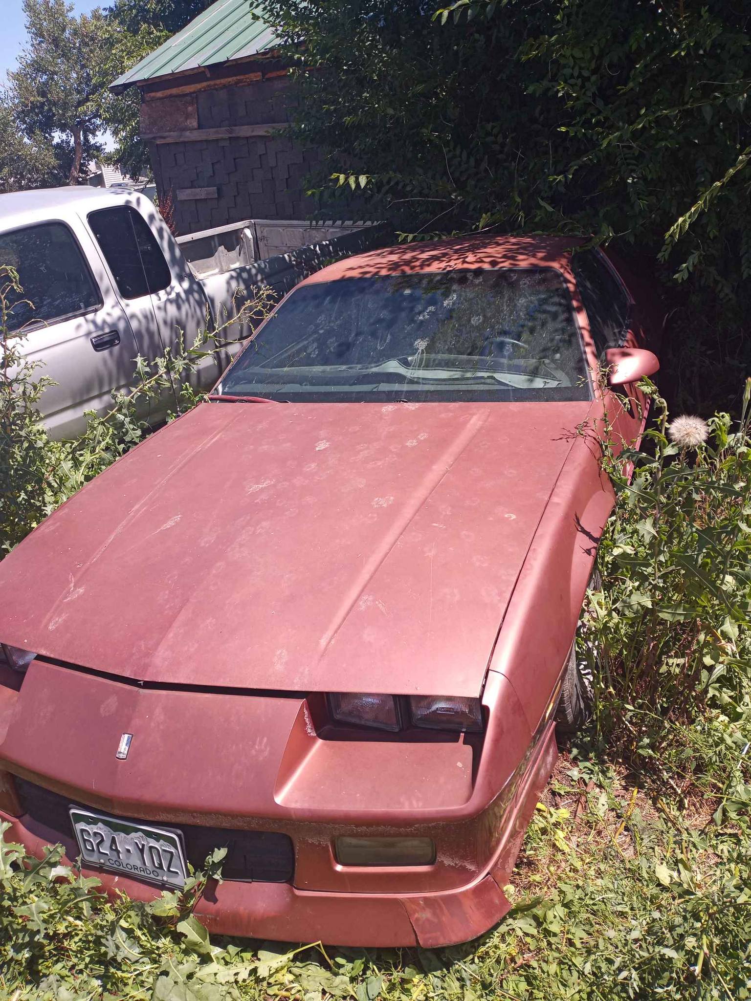 1989 Chevrolet Camaro - RS Coupe 2D